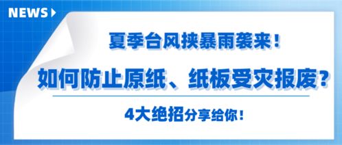 數字化紙板工廠 數字內容制作服務基礎知識詳解