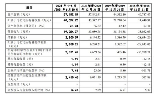 消失還是重生？原力數字IPO前路幾何，盈利困境待解