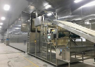 大米加工廠 一個充滿無限可能的致富項目投資指南