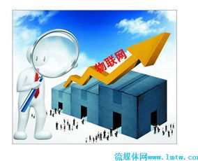 東莞物聯網產值劍指800億 三年戰略布局與項目投資雙輪驅動
